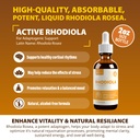 rejuvica-health-active-rhodiola-active-k-3.jpg