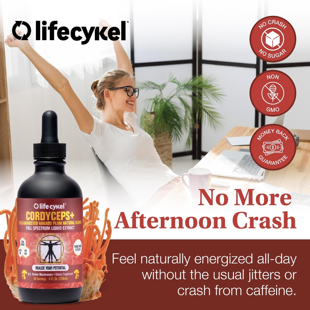 life-cykel-this-is-it-pack-chaga-lion-s--6.jpg