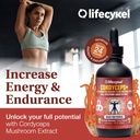 life-cykel-this-is-it-pack-chaga-lion-s--5.jpg
