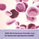 garden-of-life-prenatal-multivitamin-for-4.jpg