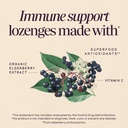 nature-s-way-sambucus-immune-lozenges-el-3.jpg