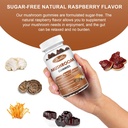 organic-mushroom-gummies-10-blend---mush-6.jpg