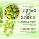 amla-capsules-organic-indian-gooseberry--5.jpg