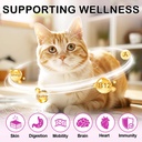 cat-multivitamin-crunchy-creamy-chews-ca-2.jpg