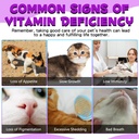 zodenis-cat-multivitamin-60ml-15-in-1-ca-6.jpg