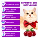 zodenis-cat-multivitamin-60ml-15-in-1-ca-4.jpg