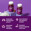 sambucus-elderberry-gummies-for-adults-i-5.jpg