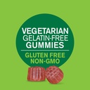 21st-century-vitajoy-sambucus-elderberry-6.jpg