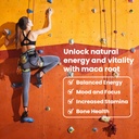 sanar-naturals-maca-root-supplement-1000-4.jpg