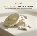 evvi-nicotine-free-focus-pouches-clean-e-2.jpg