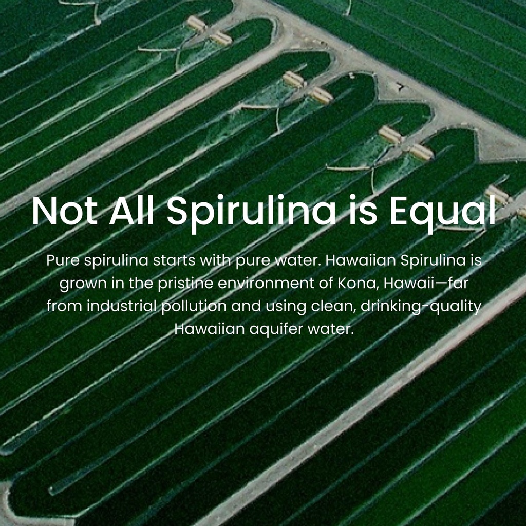 nutrex-hawaii-pure-hawaiian-spirulina-ve-6.jpg