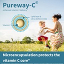 igennus-high-absorption-super-vitamin-c--3.jpg