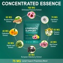 240-softgels-21-in-1-liposomal-lymphatic-4.jpg