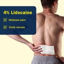 four-percent-lidocaine-patches-10-back-p-2.jpg