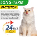 antibiotics-for-cats-natural-antibiotic--3.jpg