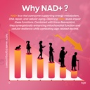 nad-gummies-1200mg-liposomal-nad-supplem-3.jpg