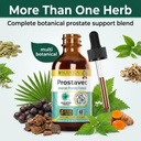 prostavec-advanced-prostate-support-supp-5.jpg