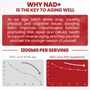 liquid-nad-extra-strength-1-200mg-nad-su-4.jpg