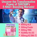 shizam-tmg-betaine-alpha-lipoic-acid-ala-4.jpg
