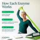 potent-lumbrokinase-supplement-120-servi-6.jpg