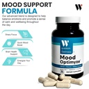wisdom-in-wellness-mood-optimyze-mood-su-3.jpg