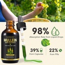 mullein-drops-for-lungs-mullein-leaf-ext-4.jpg