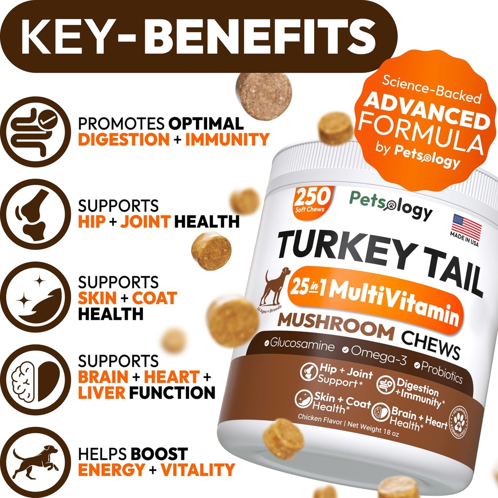 turkey-tail-mushroom-for-dogs-250-chews--3.jpg