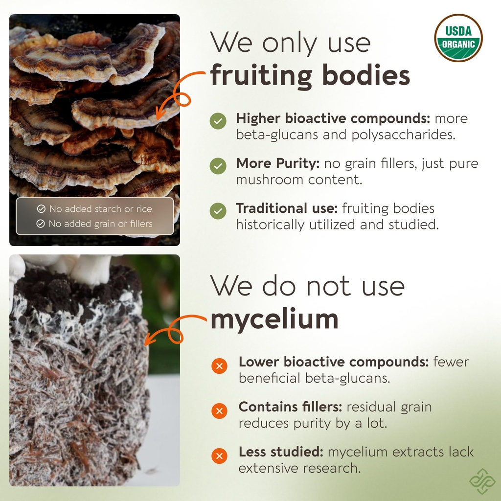organic-turkey-tail-mushroom-powder-supp-5.jpg