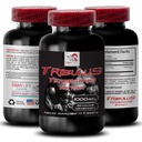 dynamic-energy-support-tribulus-terrestr-2.jpg