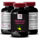 dynamic-energy-source-tribulus-terrestri-2.jpg