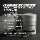 kaged-multivitamin-capsules-unflavored-w-5.jpg