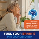 methylene-blue-supplement-for-mental-cla-4.jpg