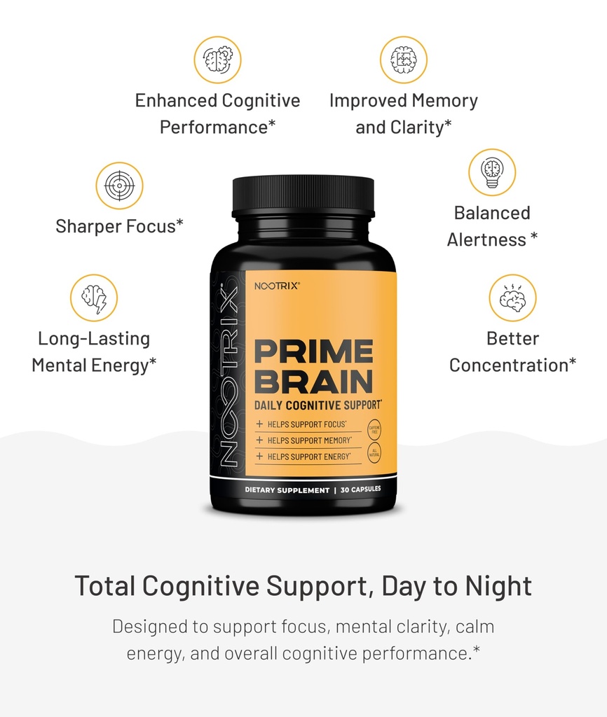 nootrix-prime-brain-nootropic-supplement-6.jpg