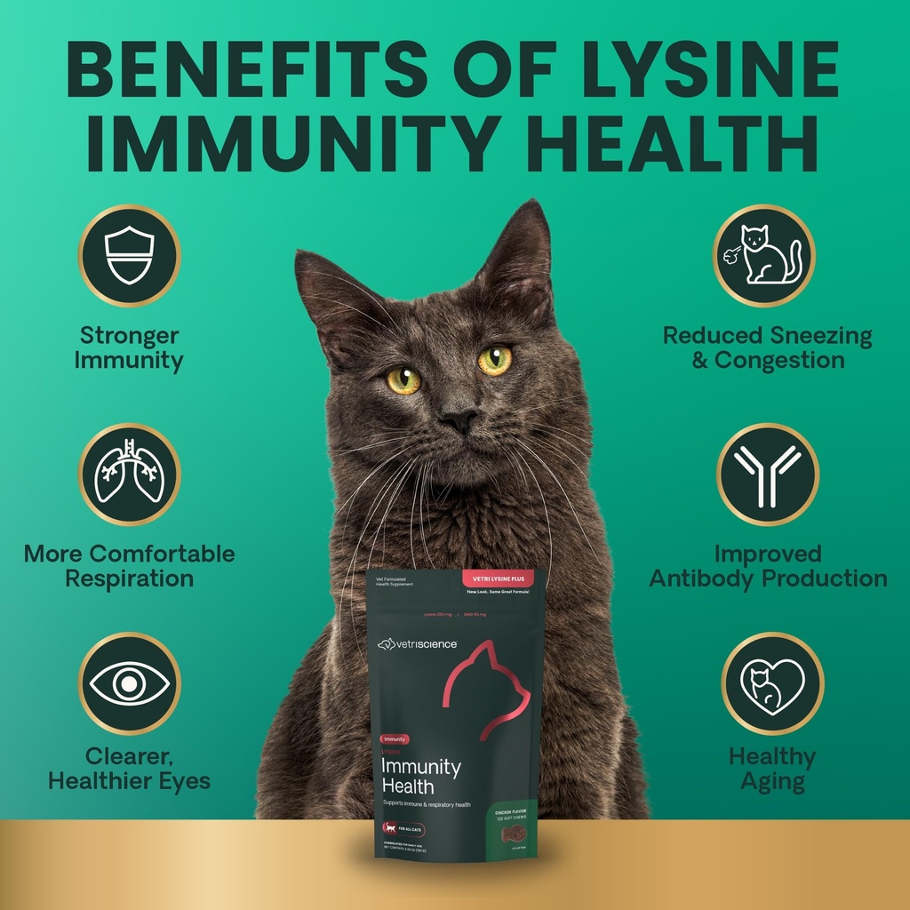 vetriscience-lysine-immunity-health-chew-6.jpg
