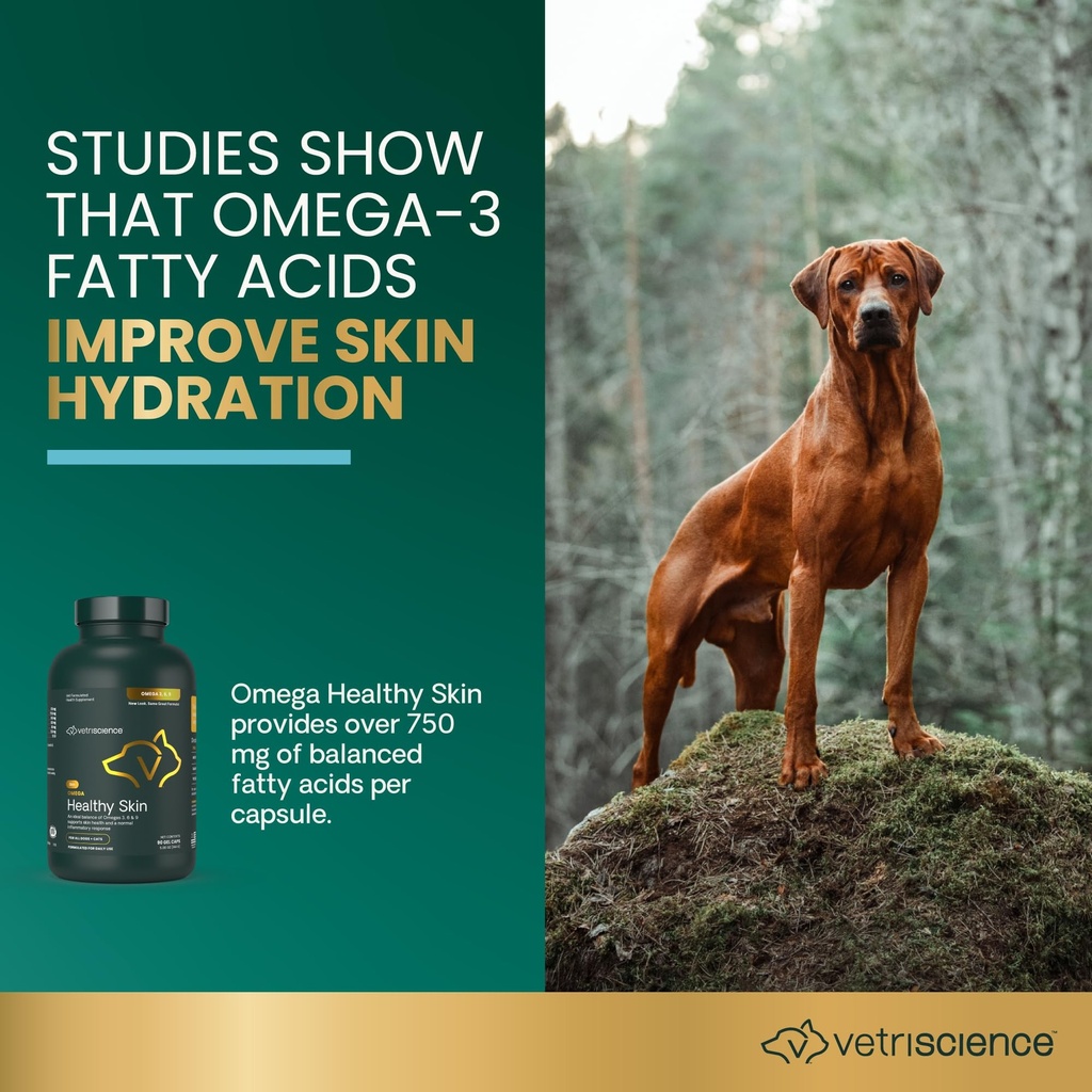 vetriscience-omega-healthy-skin-capsules-3.jpg