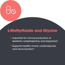 metabolic-maintenance-l-methylfolate-15--5.jpg