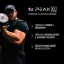 jacked-factory-androsurge-estrogen-block-2.jpg