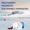 oyster-extract-krill-oil-glucosamine-cho-3.jpg