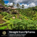 koa-kava-fiji-premium-noble-waka-tea-mad-5.jpg