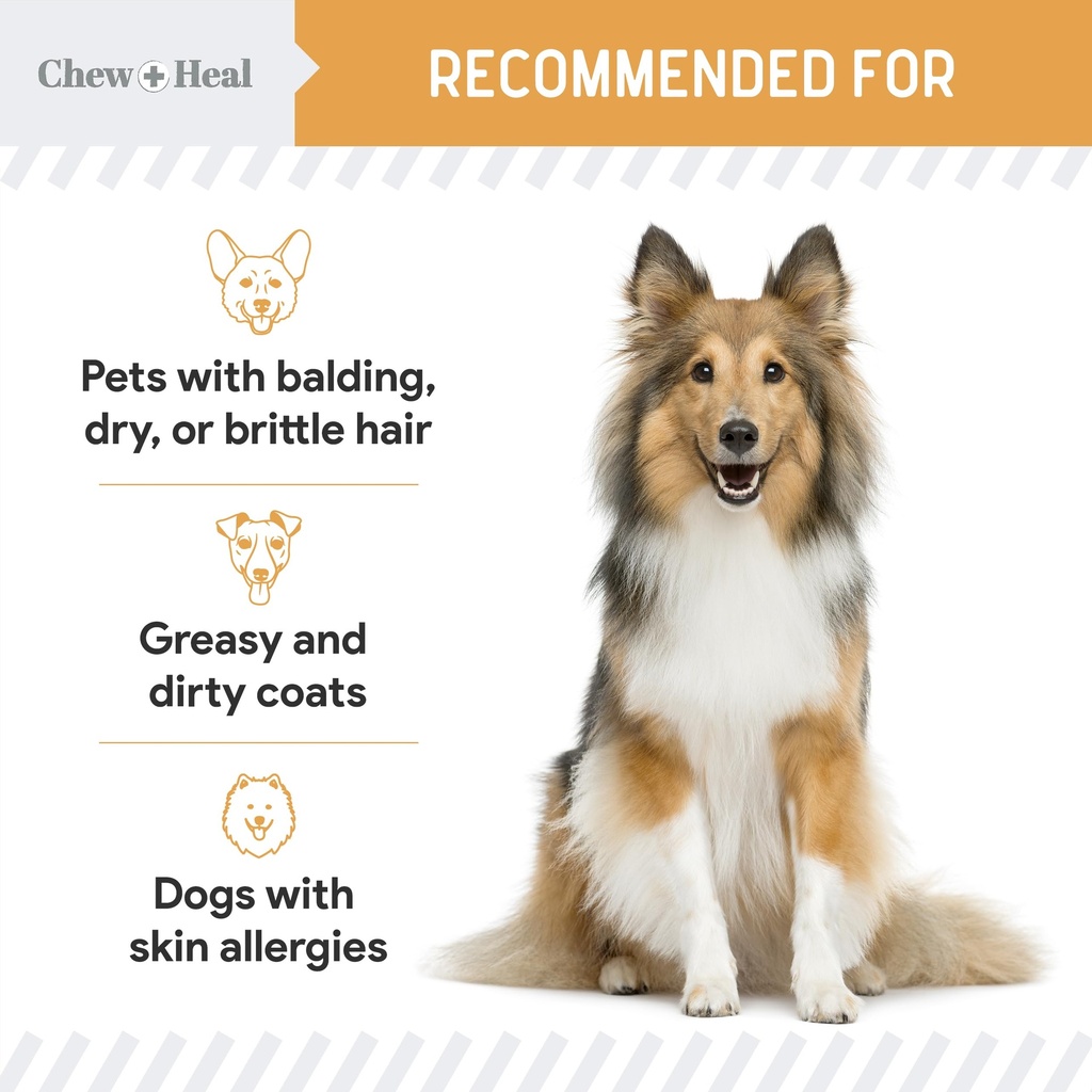 salmon-oil-for-dogs-60-soft-chew-omega-t-5.jpg