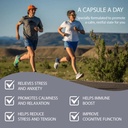 immune-support-supplement-natural-herbal-5.jpg