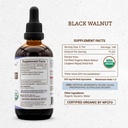 secrets-of-the-tribe-black-walnut-usda-o-4.jpg