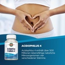 kal-acidophilus-probiotic-4-500-million--2.jpg