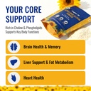organic-sunflower-lecithin-powder-usda-c-4.jpg