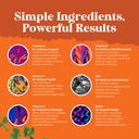 potent-daily-multivitamin-gummies-for-ad-5.jpg