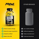 creatine-monohydrate-gummies---creatine--5.jpg