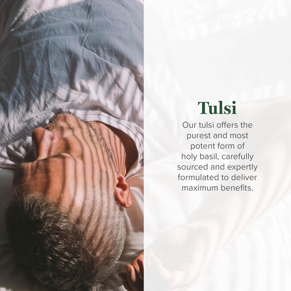 global-healing-center-organic-tulsi-holy-2.jpg