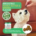 balanced-breed-all-in-1-dog-vitamins-sup-5.jpg