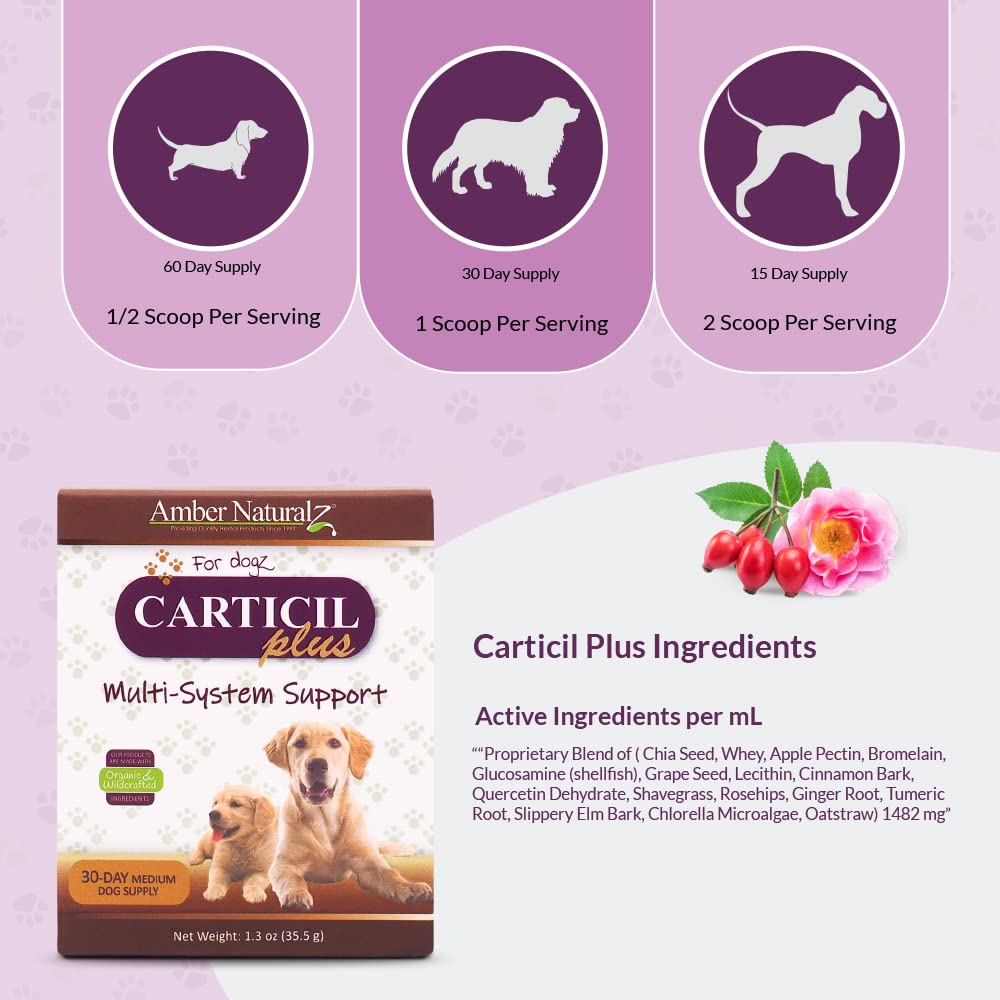 amber-naturalz-carticil-plus-herbal-supp-4.jpg