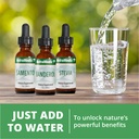nutramedix-daily-immune-support-suppleme-6.jpg